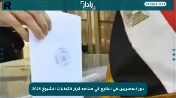دور المصريين في الخارج في صناعة قرار انتخابات الشيوخ 2025